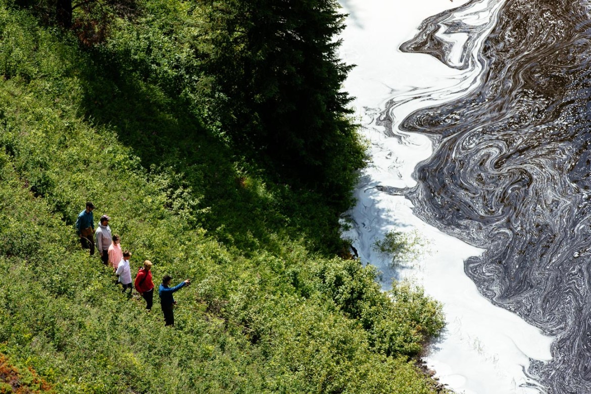 Discover Nature as Art while hiking in our backcountry around Siwash Lake