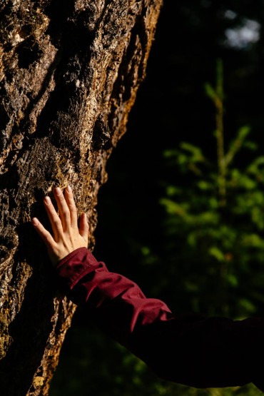 Help protect our old growth forests that sequester carbon and help stave off climate change.