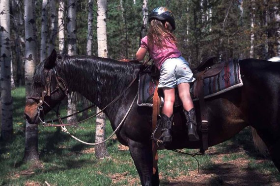 Small Children can participate in the horse program with their families