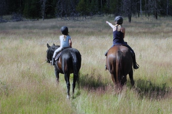 Watch for wildlife during your Siwash Lake horse riding holiday