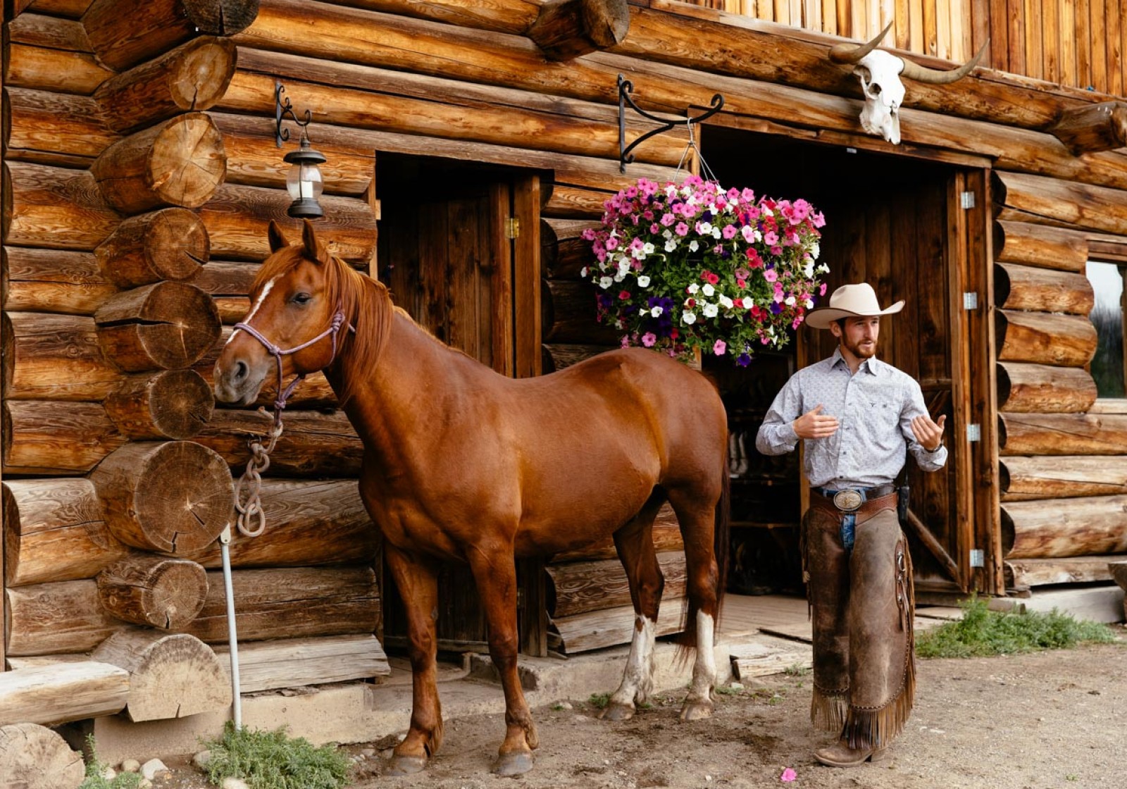 The SiwashSynergy equine experience is a top-rated luxury horse riding adventure in BC, Canada