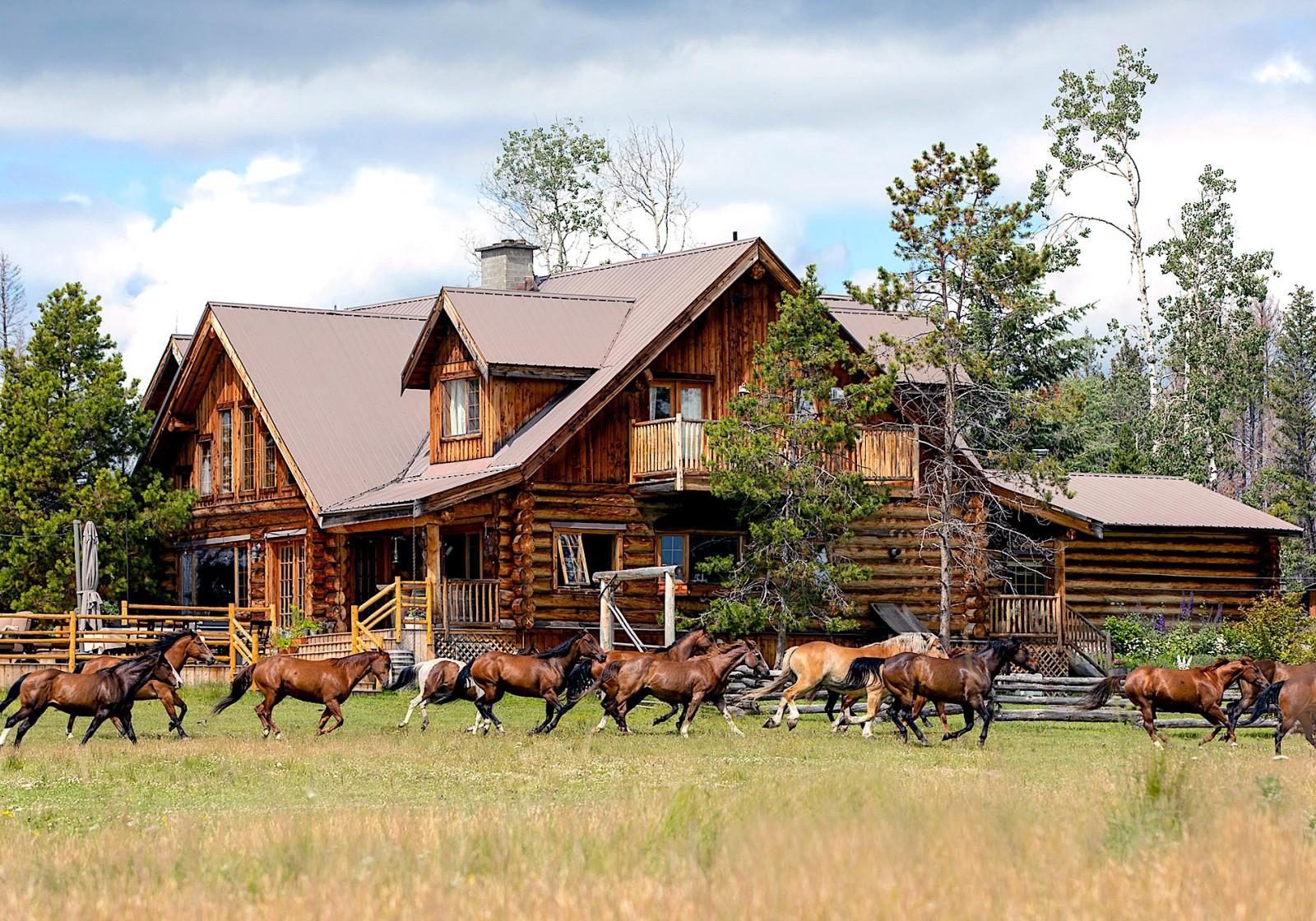 Horses gallop by the luxury wilderness lodge at Siwash Lake Ranch.