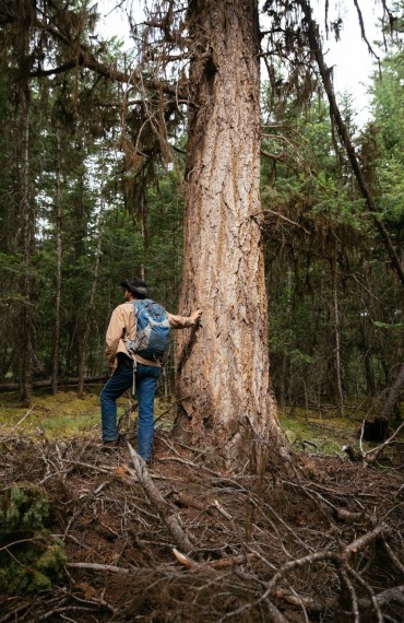 Hiking at Siwash Lake