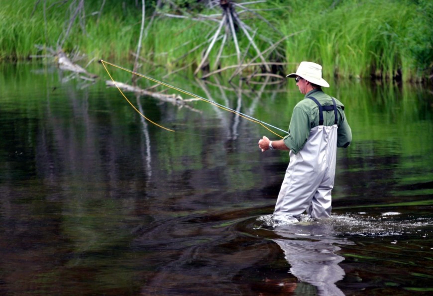 Fly fishing in the wild