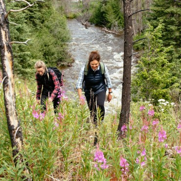 Backcountry hiking beside a wilderness river