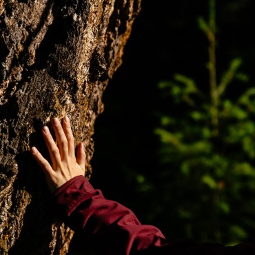 The wisdom of an old growth fir tree emanates from its bark