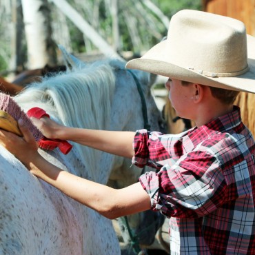 SiwashSynergy is an immersive horse riding holiday