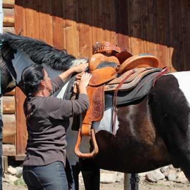 Learn how to saddle your horse during this luxury equine experience