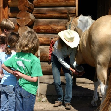 Learn all about how to care for your horse