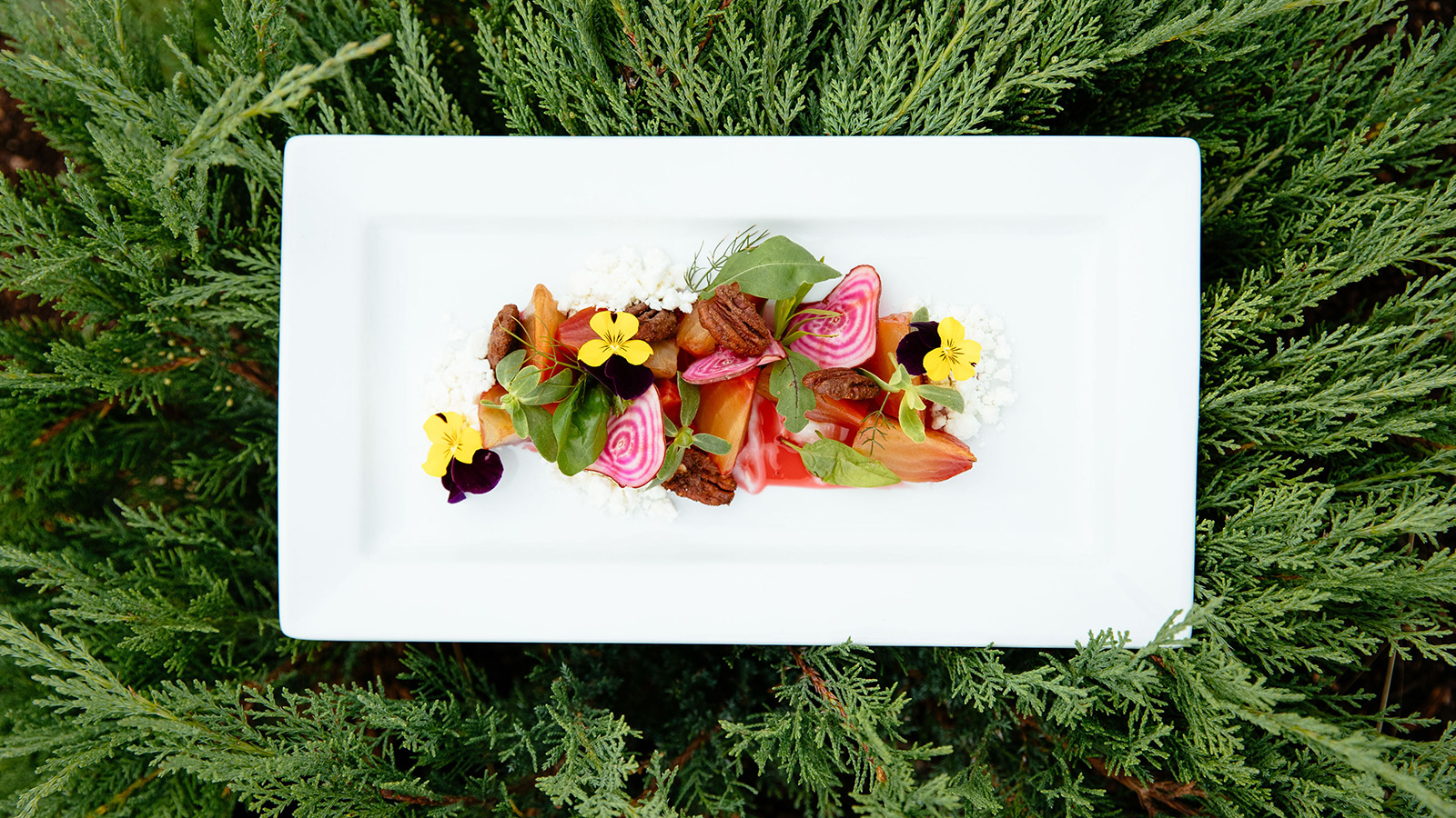 Siwash brings Nature into the dining room